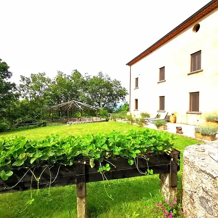 La Cessuta-cilento Holiday home *