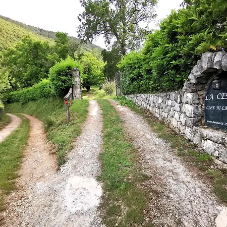 La Cessuta-cilento Holiday home *