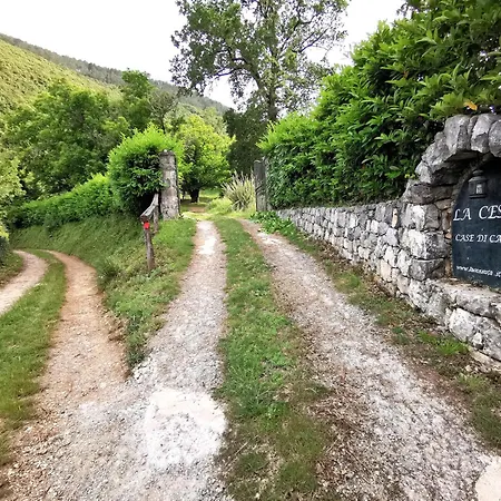 La Cessuta-cilento Holiday home *